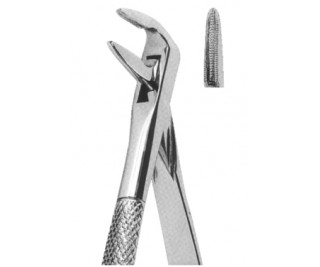 Extracting Forceps English pattern